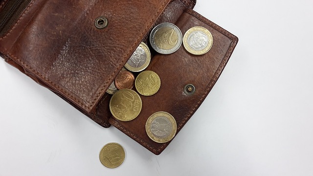 mince v peněžence.jpg